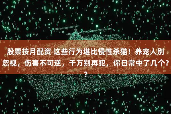 股票按月配资 这些行为堪比慢性杀猫！养宠人别忽视，伤害不可逆，千万别再犯，你日常中了几个？